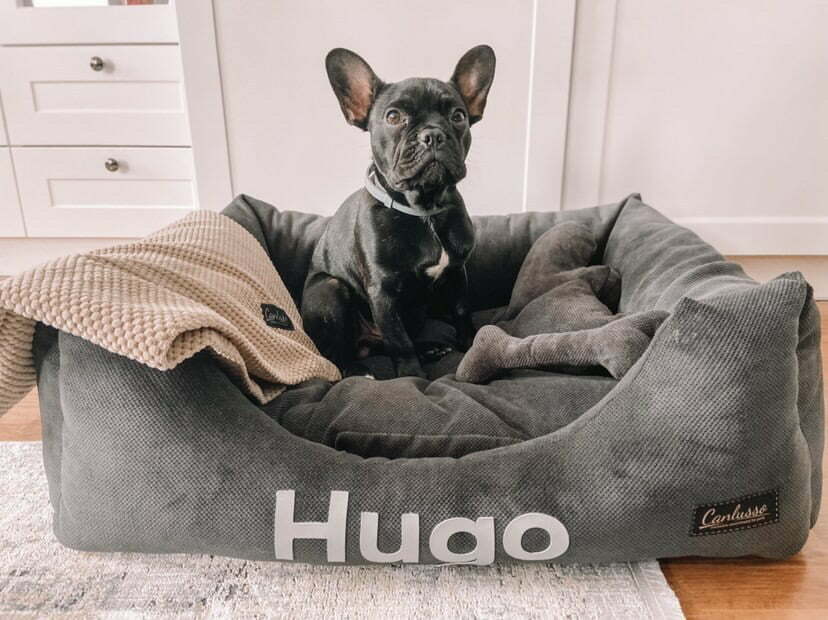 Legowisko dla psa z imieniem