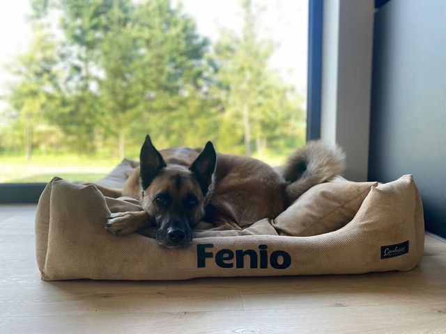 Legowisko dla dużego psa