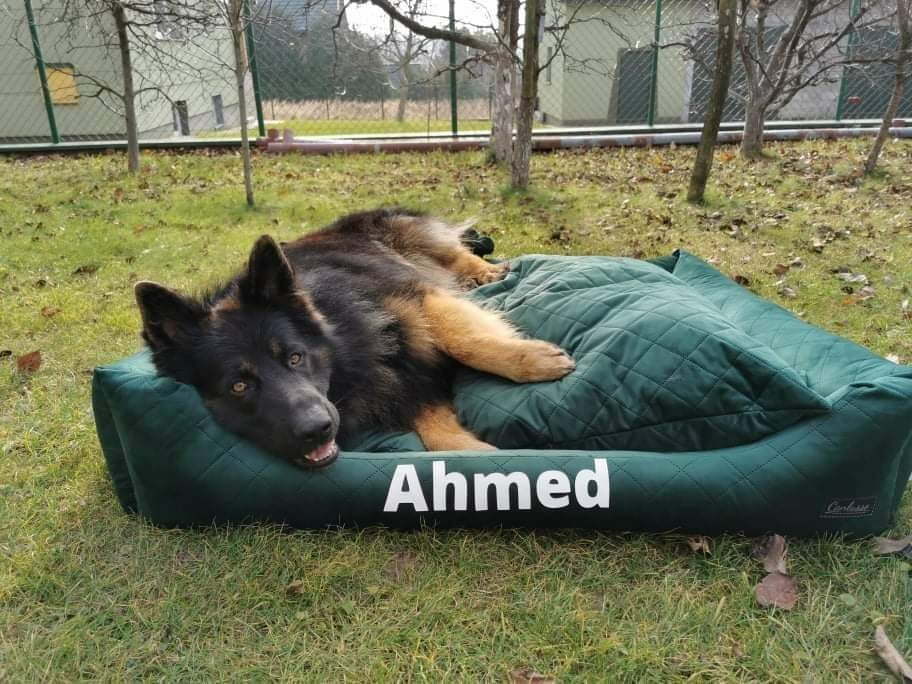 legowisko dla dużego psa 2