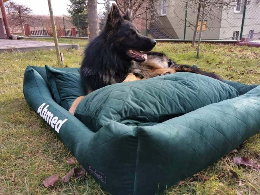 legowisko dla dużego psa