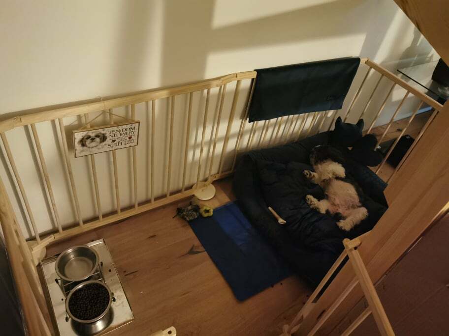 czarne legowisko dla psa