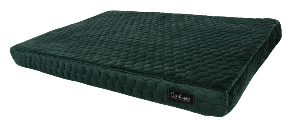 Zielony materac dla psa