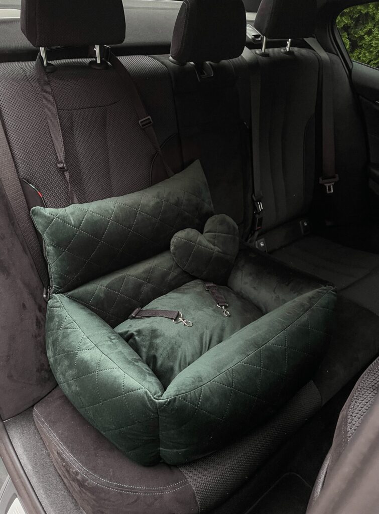 Zielony fotelik dla średniego psa