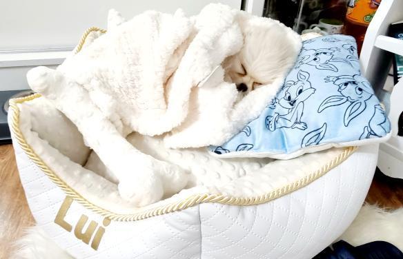 Okrągłe legowisko dla psa