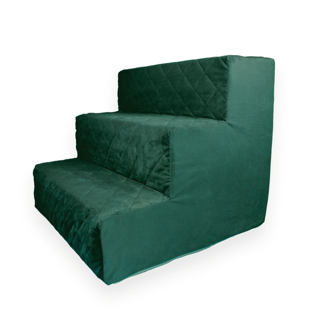 Zielone schodki dla psa