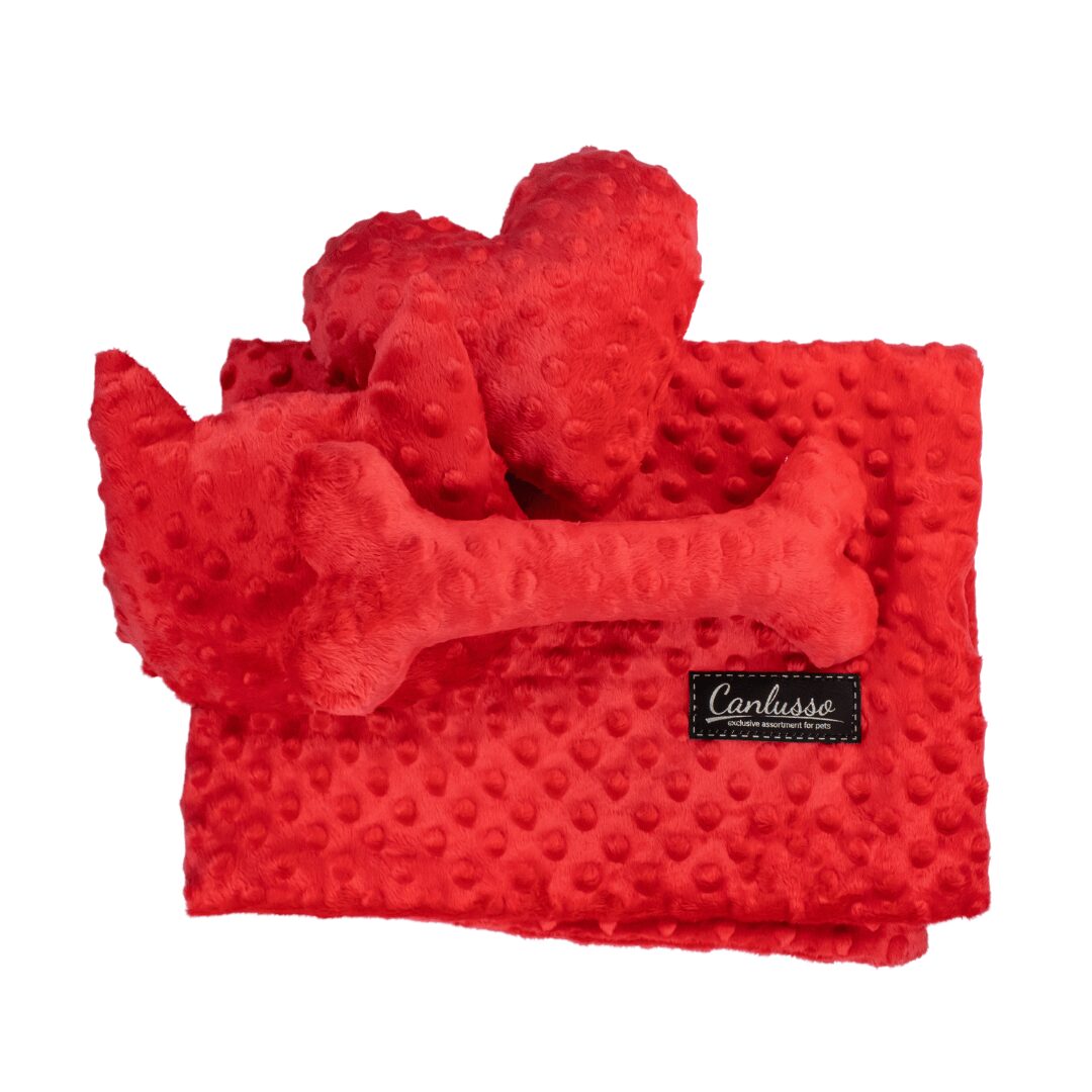 Zestaw dla psa - Christmas - czerwony