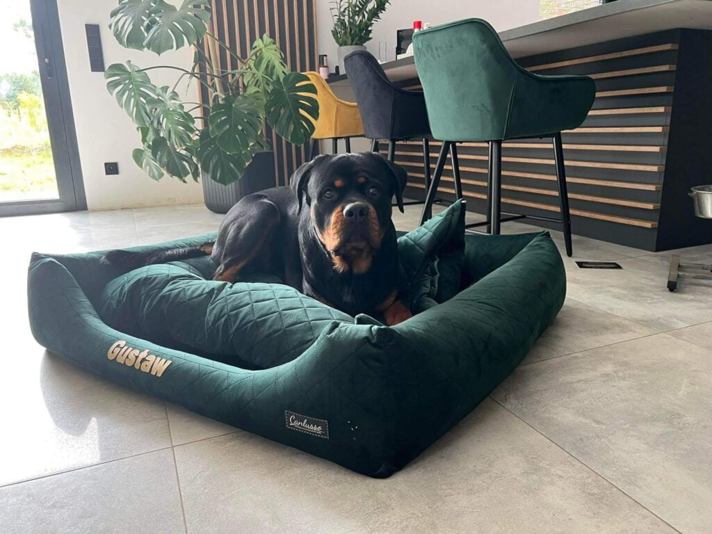 Legowisko dla Rottweilera