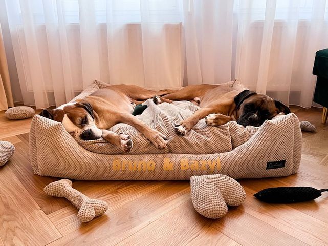 Legowisko dla boksera