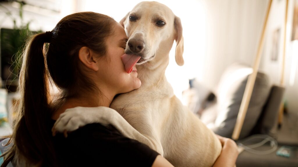 Dlaczego pies mnie liże