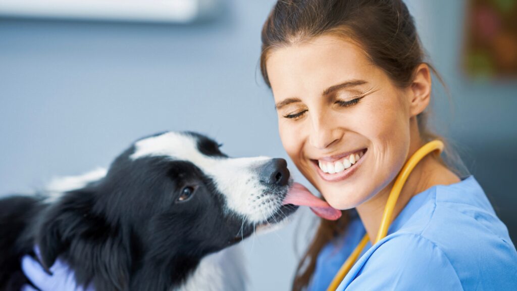 Dlaczego pies mnie liże