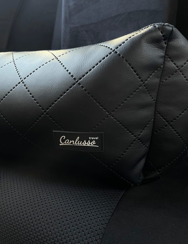 Fotelik dla psa do samochodu Canlusso 4