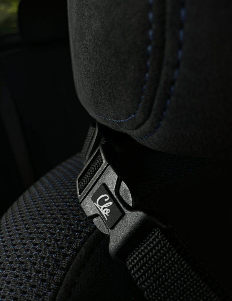 Fotelik dla psa Canlusso