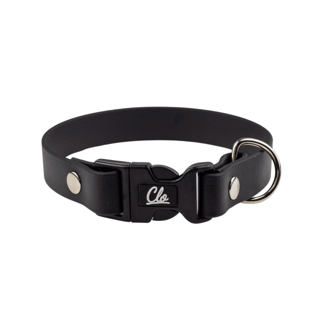 Obroża dla psa - Biothane - Black - Silver