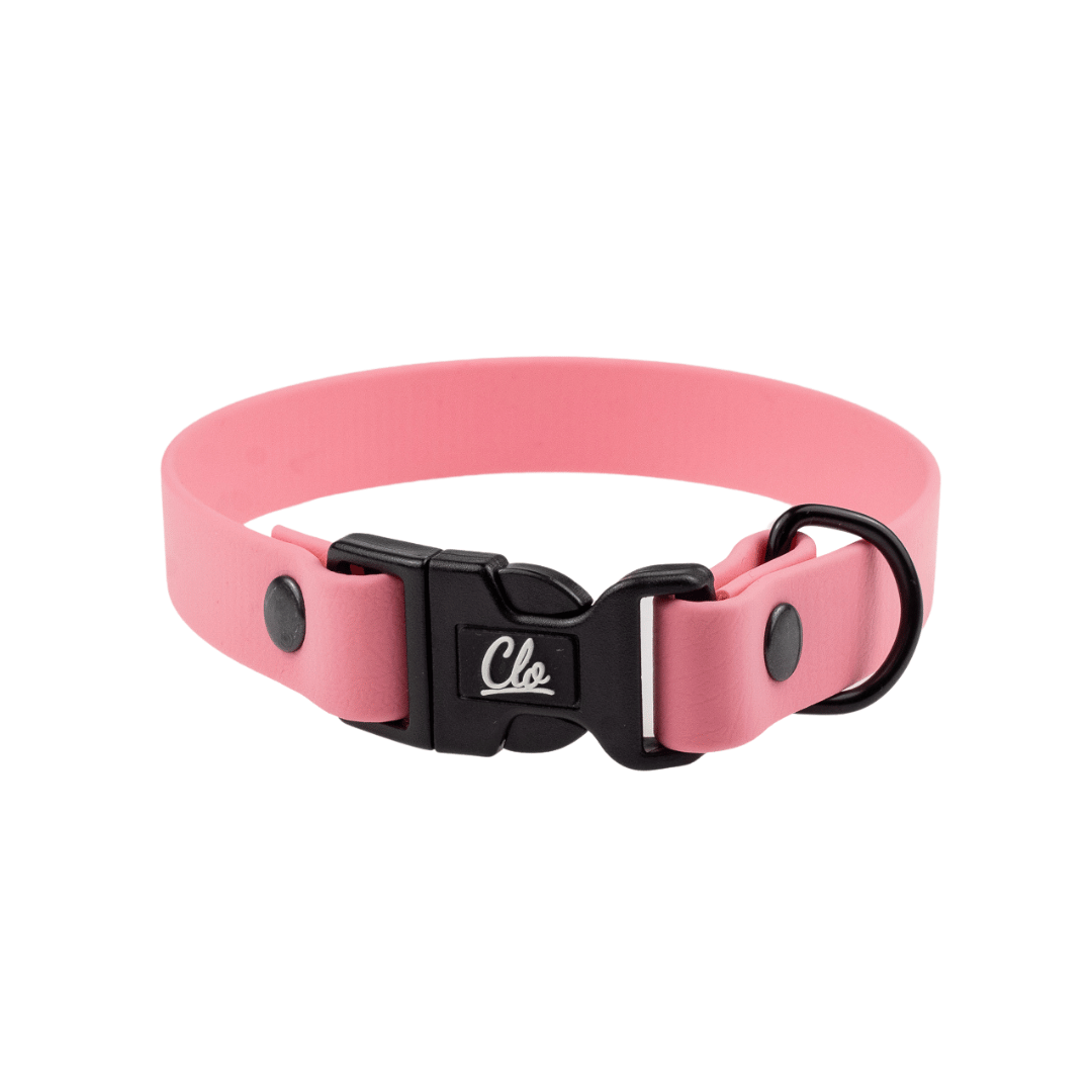 Obroża dla psa - Biothane - Pink - Black