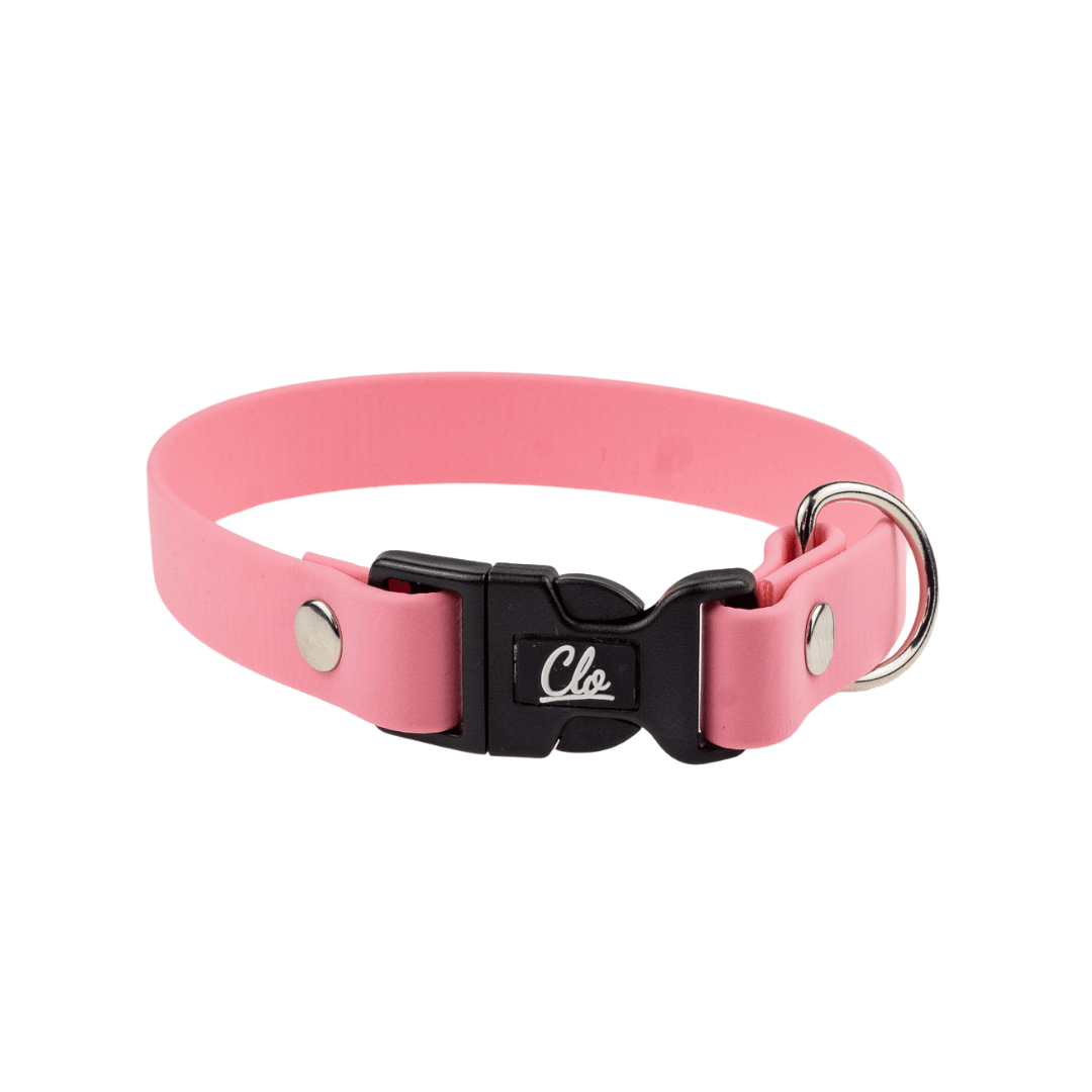 Obroża dla psa - Biothane - Pink - Silver