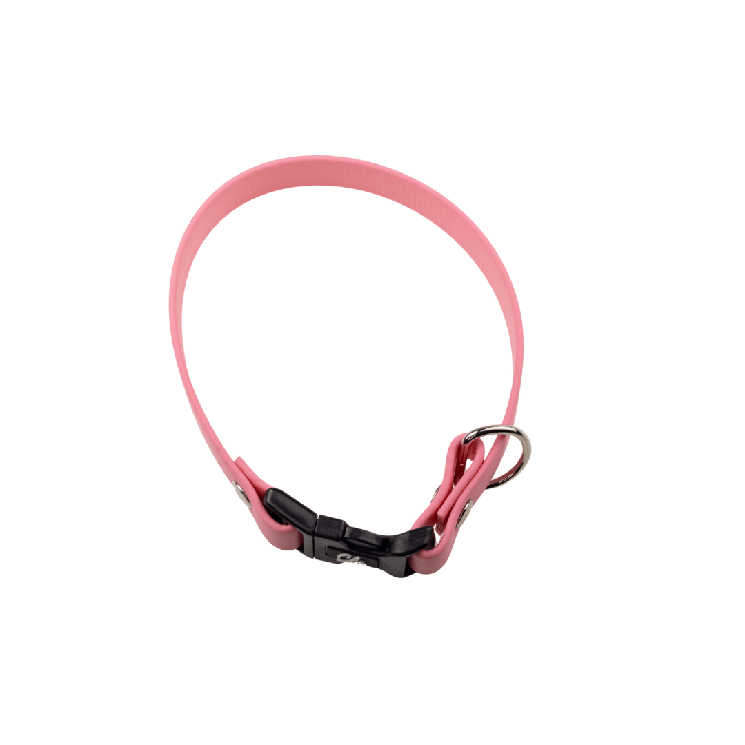 Obroża dla psa - Biothane - Pink - Silver - obrazek 2