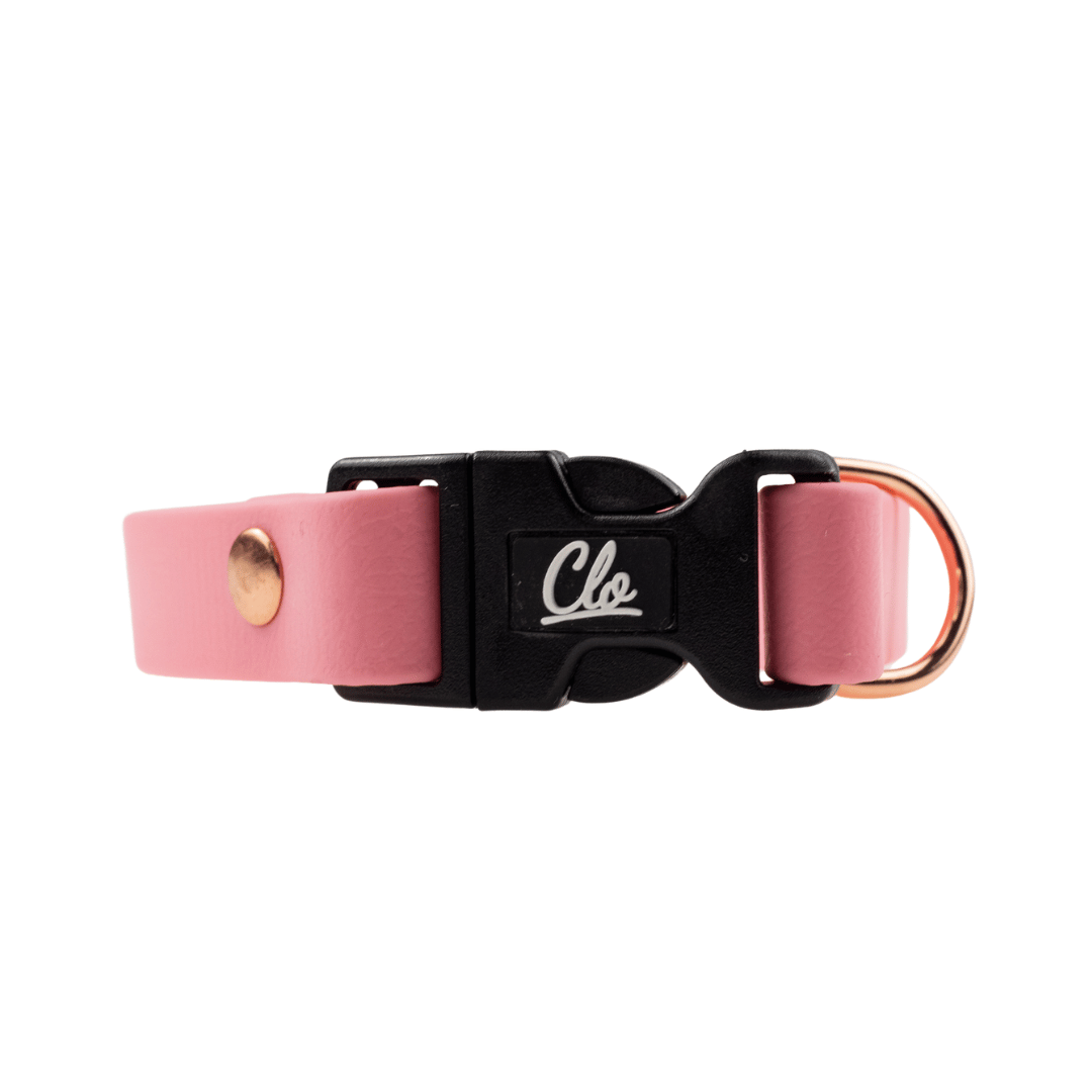 Obroża dla psa - Biothane - Pink - Pink