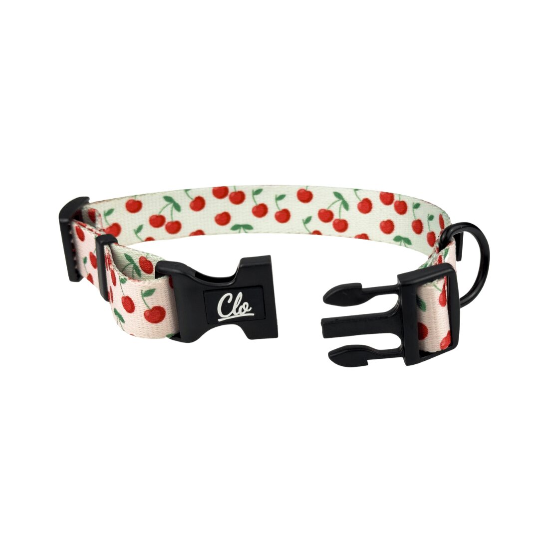 Obroża dla psa - Cherry - obrazek 3