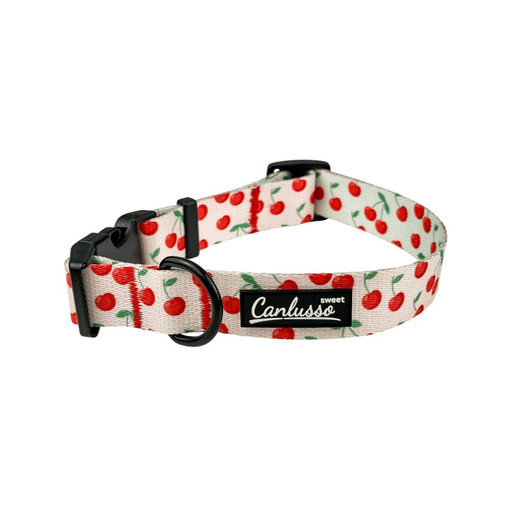 Obroża dla psa - Cherry
