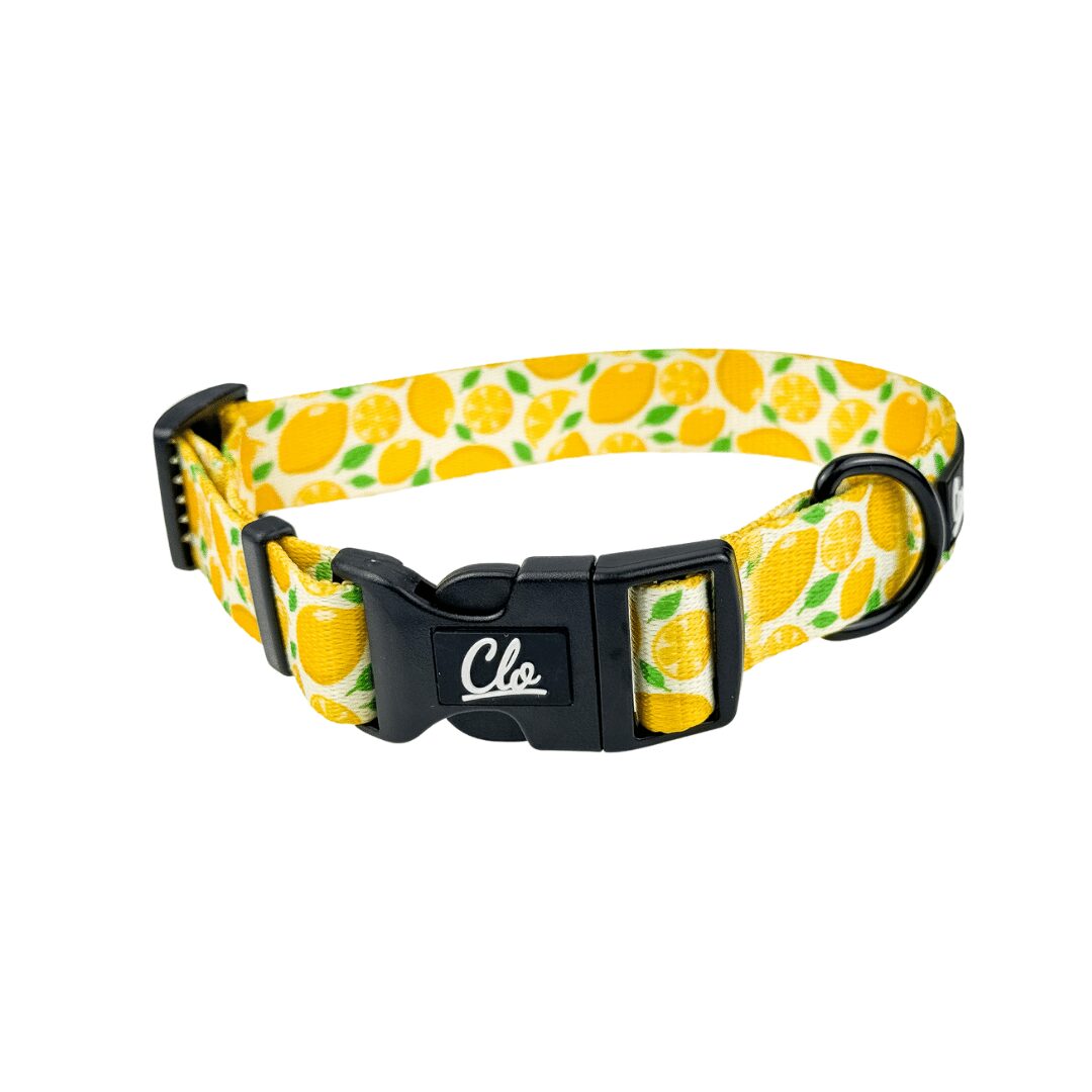 Obroża dla psa - Lemon - obrazek 2