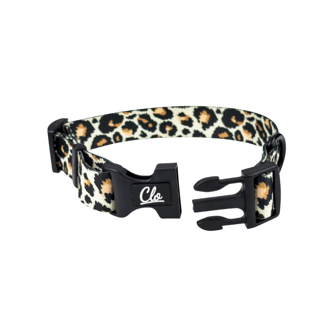 Obroża dla psa - Leopard - obrazek 3