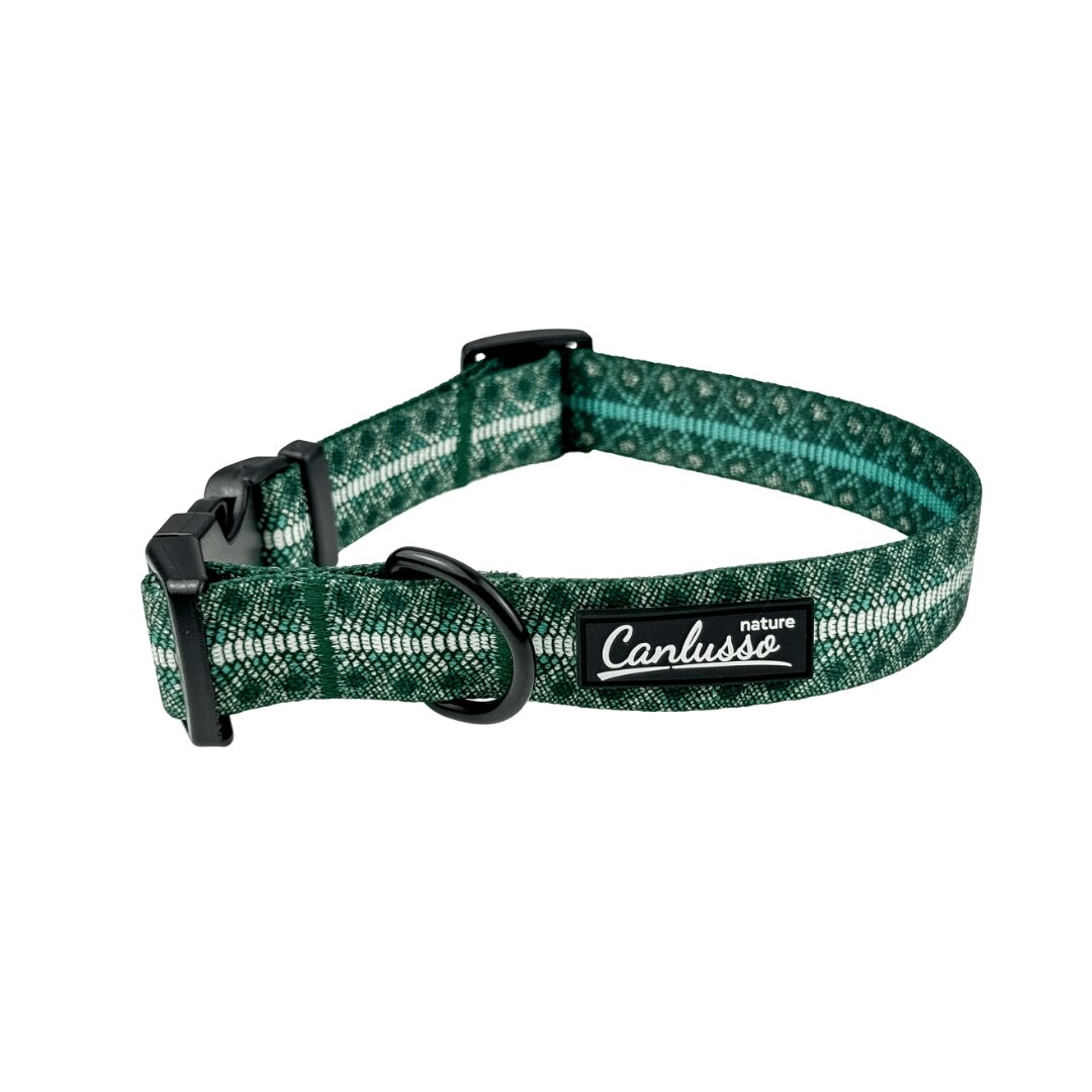 Obroża dla psa - Snake