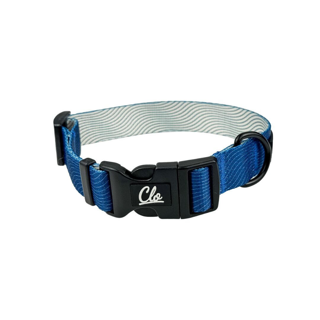 Obroża dla psa - Waves