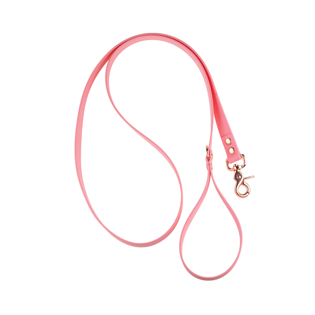 Smycz - BioThane - Pink - Pink