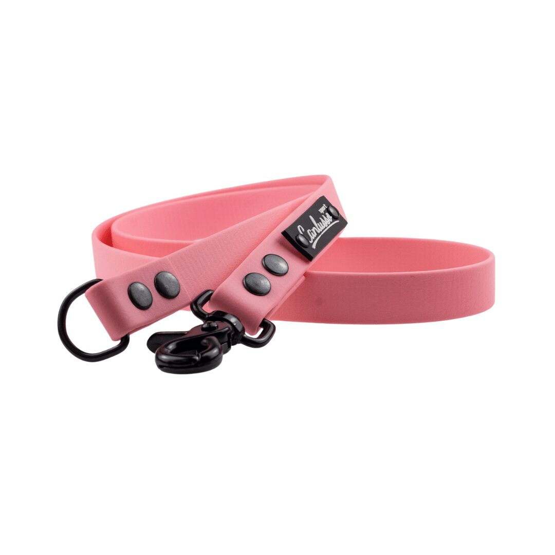 Przedłużenie smyczy - BioThane - Pink - Black