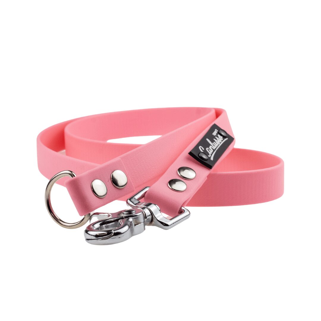 Przedłużenie smyczy - BioThane - Pink - Silver