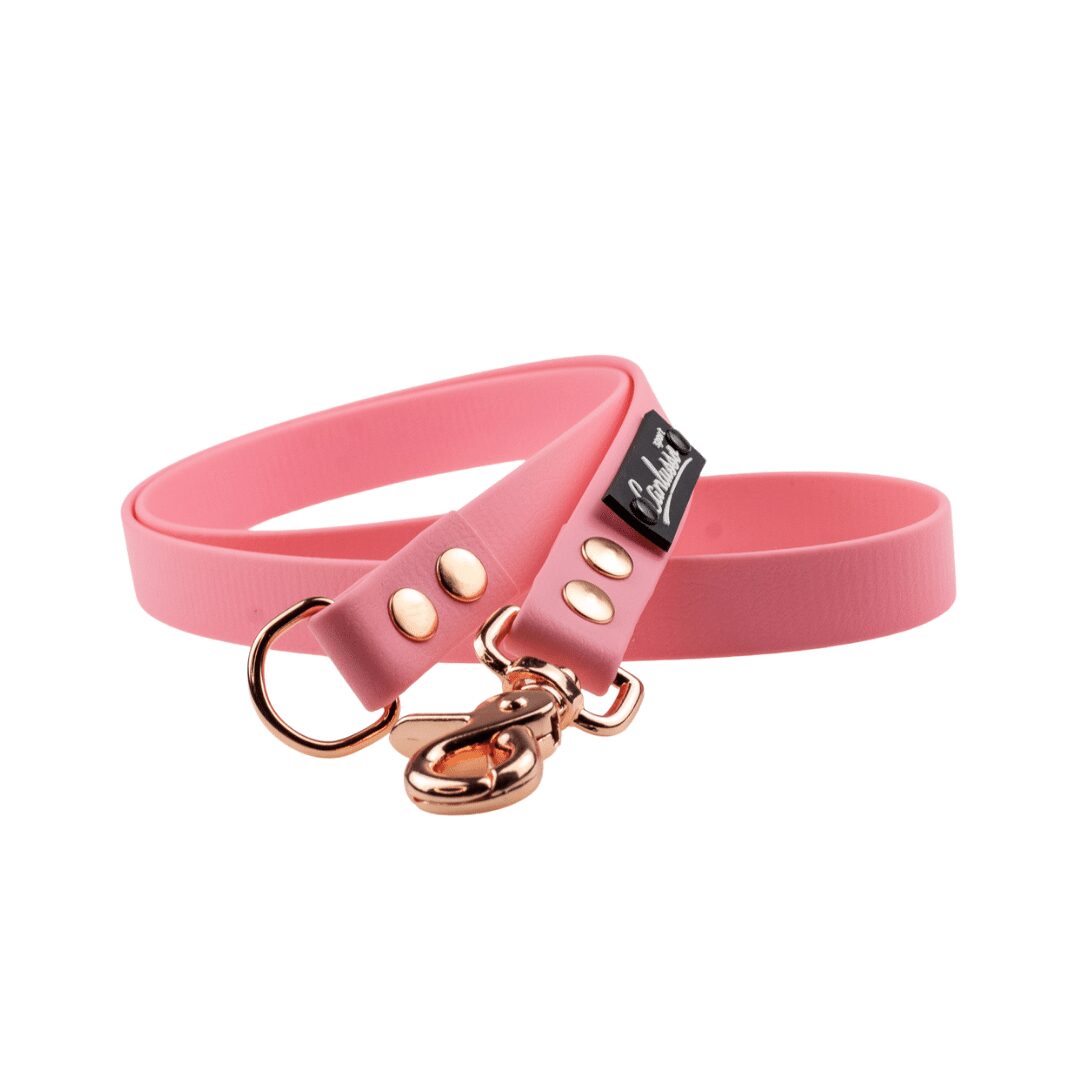 Przedłużenie smyczy - BioThane - Pink - Pink