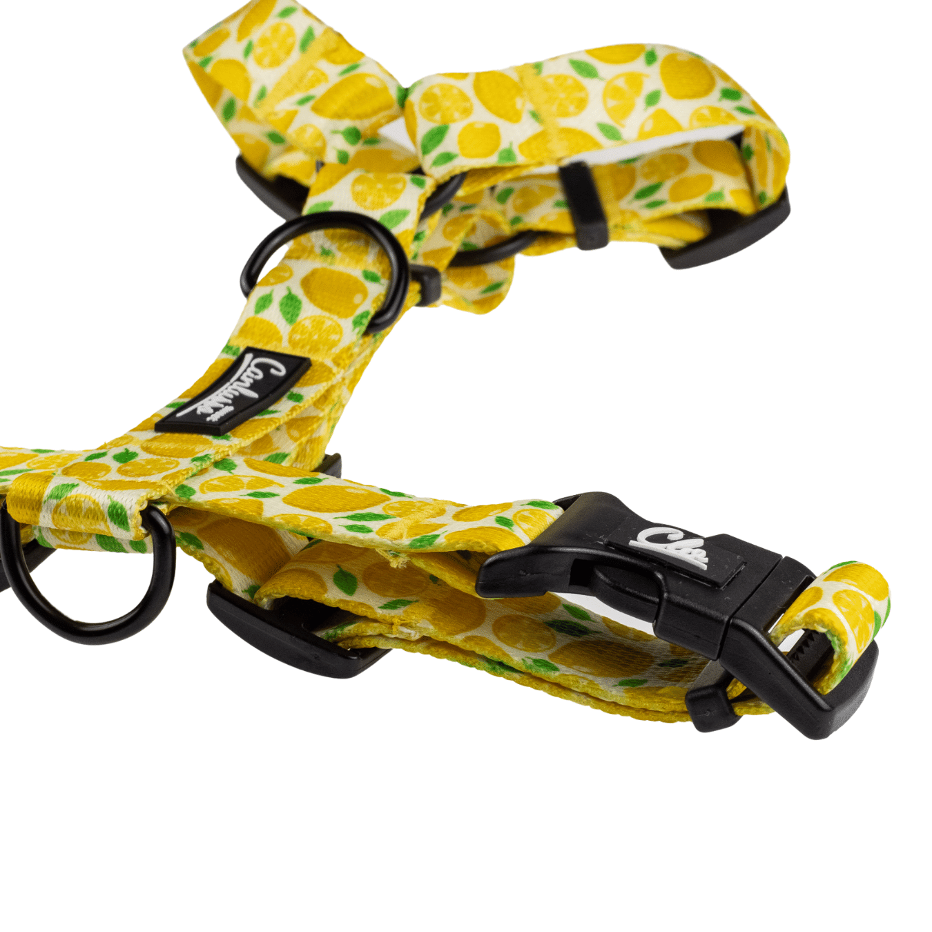Szelki guard dla psa - Lemon - obrazek 8