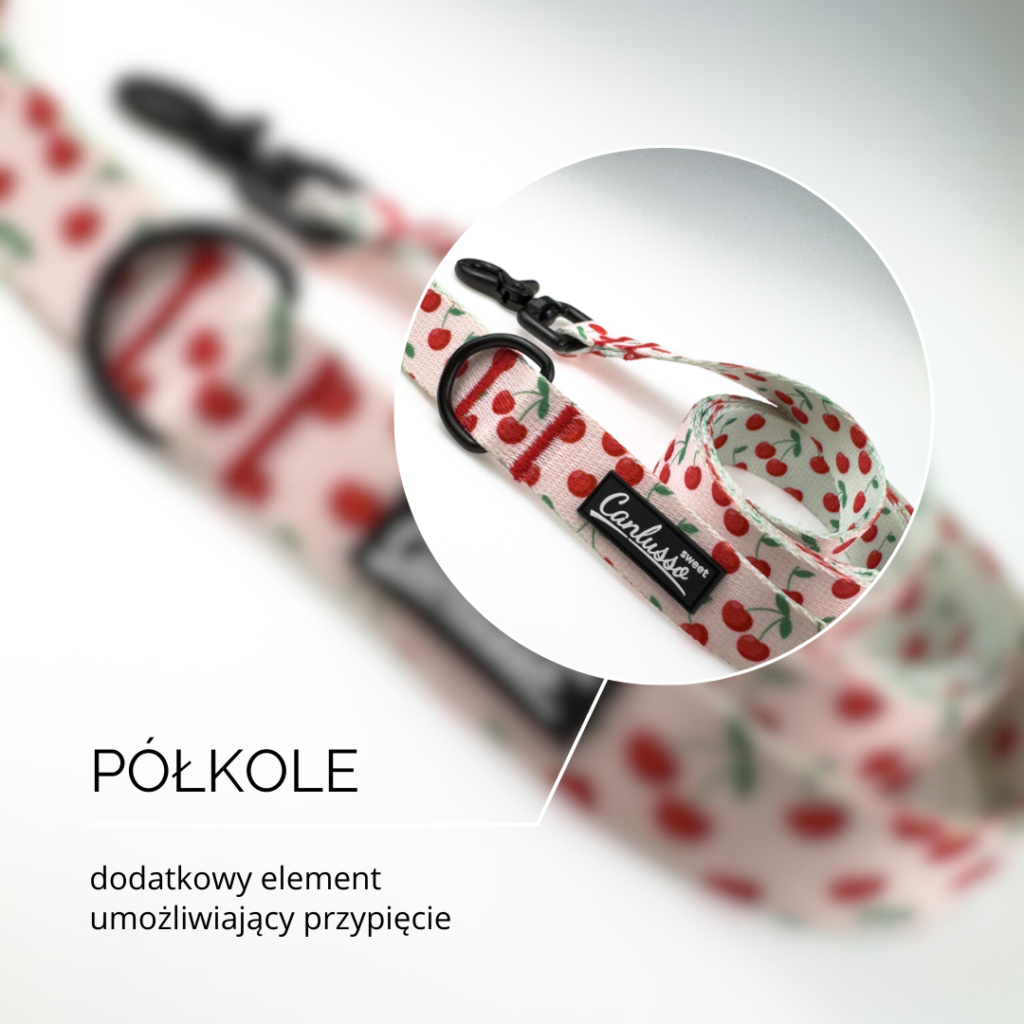 Smycz dla psa - budowa