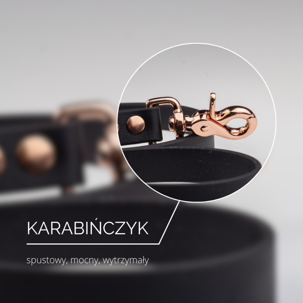 Smycz biothane dla psa - budowa