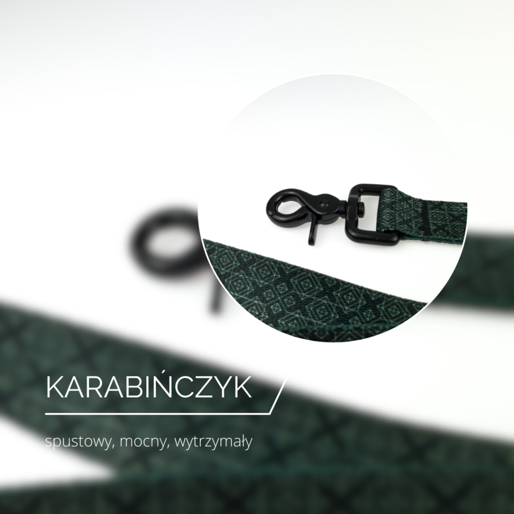 Smycz dla psa - budowa