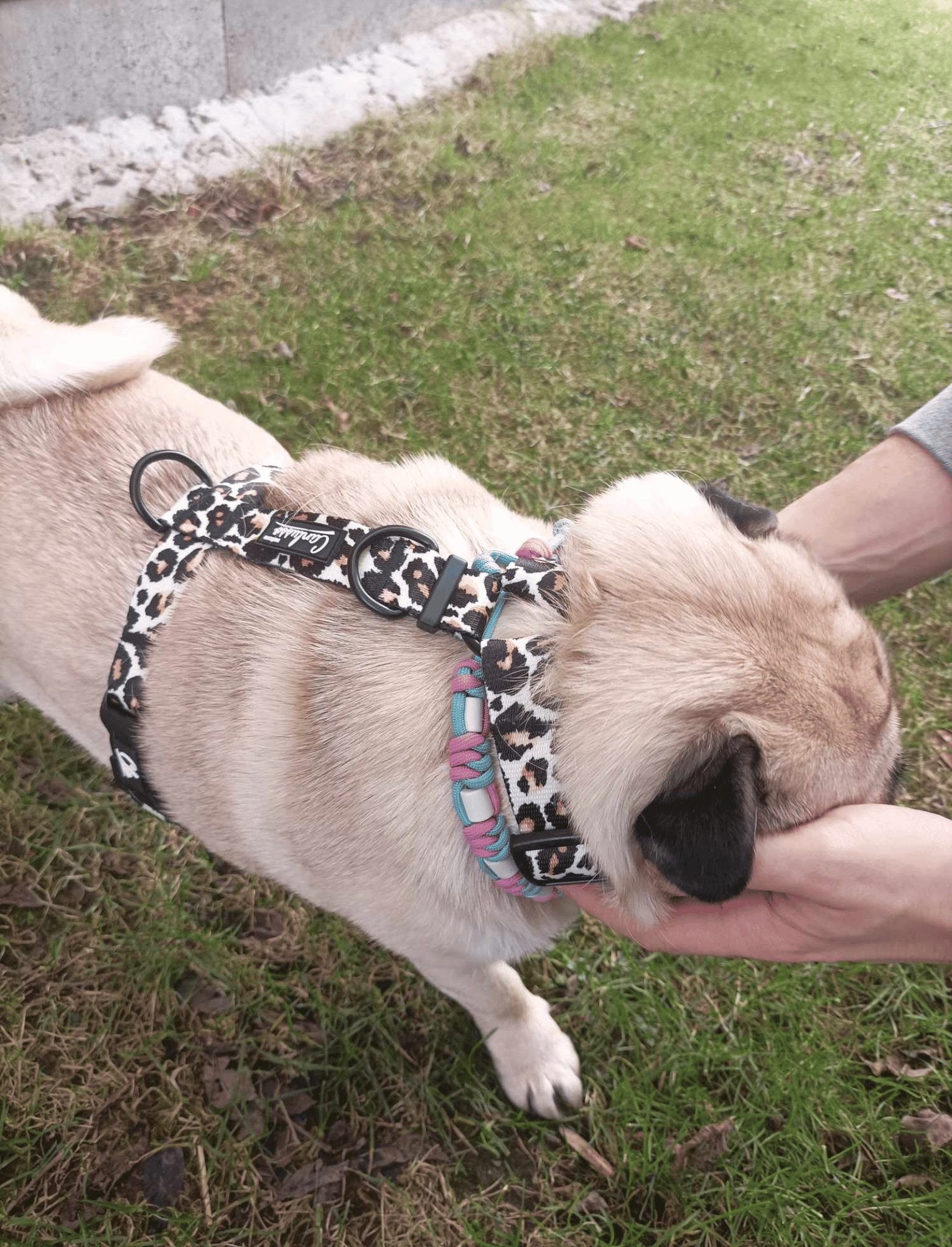 Szelki guard dla psa - Squares - obrazek 8