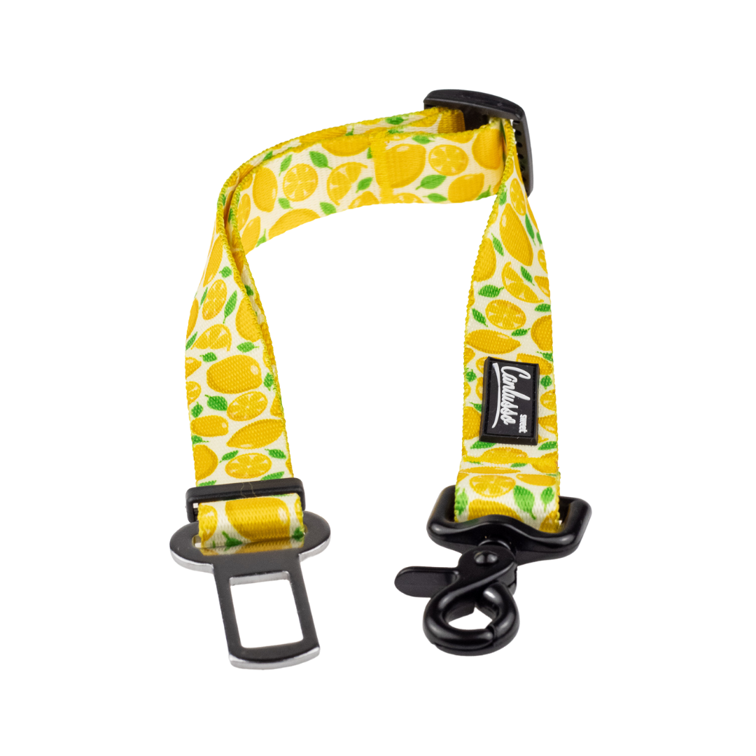 Pas do samochodu dla psa - Lemon