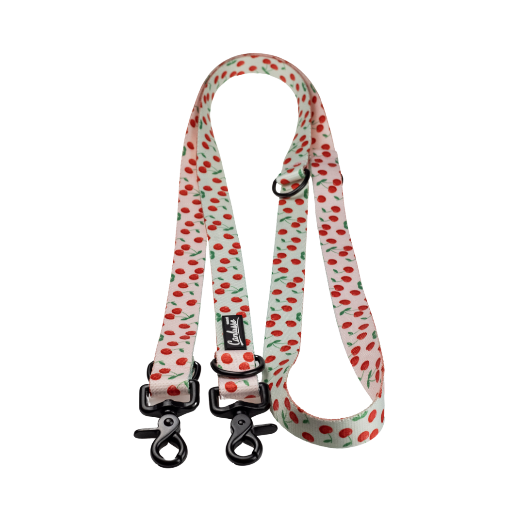 Smycz przepinana dla psa - Cherry