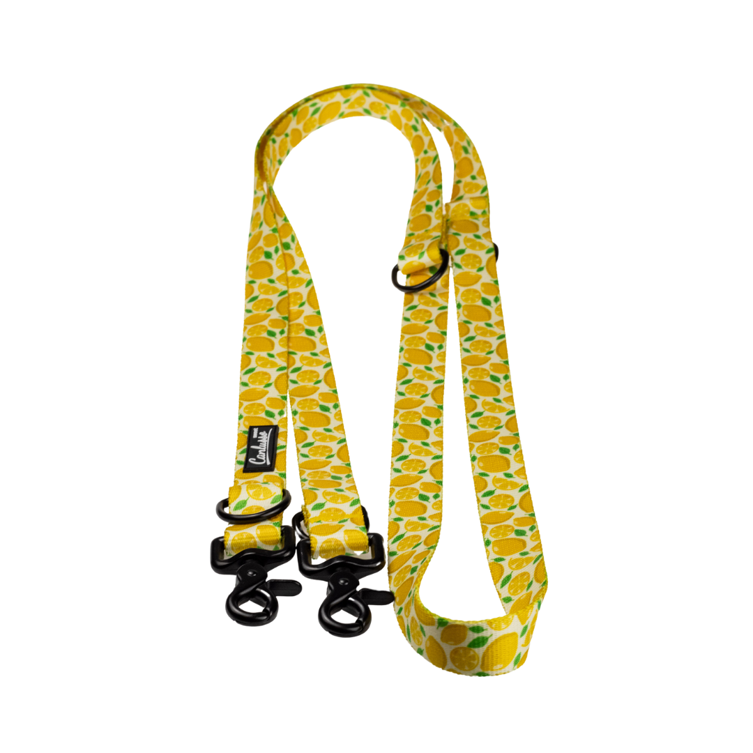 Smycz przepinana dla psa - Lemon
