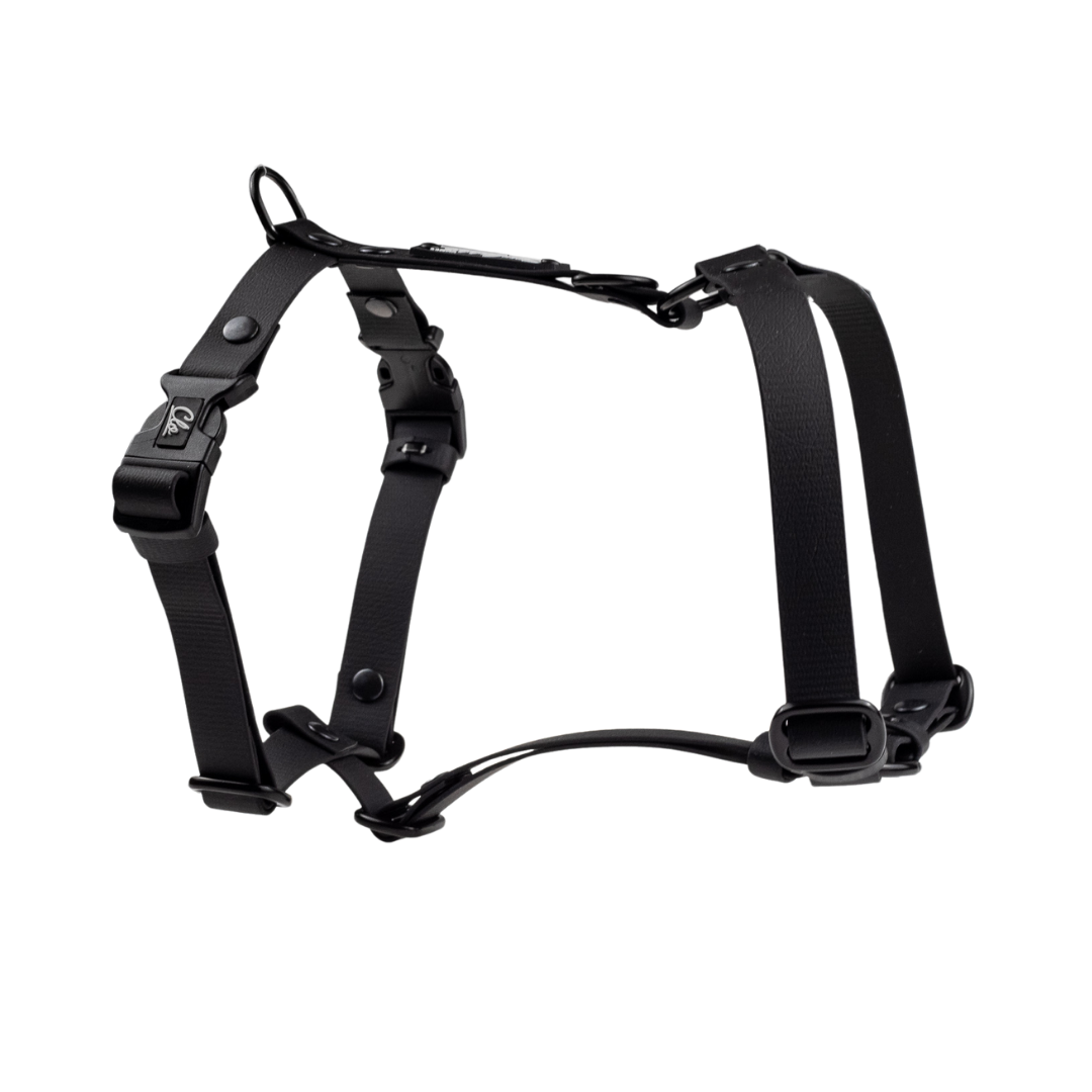 Szelki guard dla psa - Sport - Black