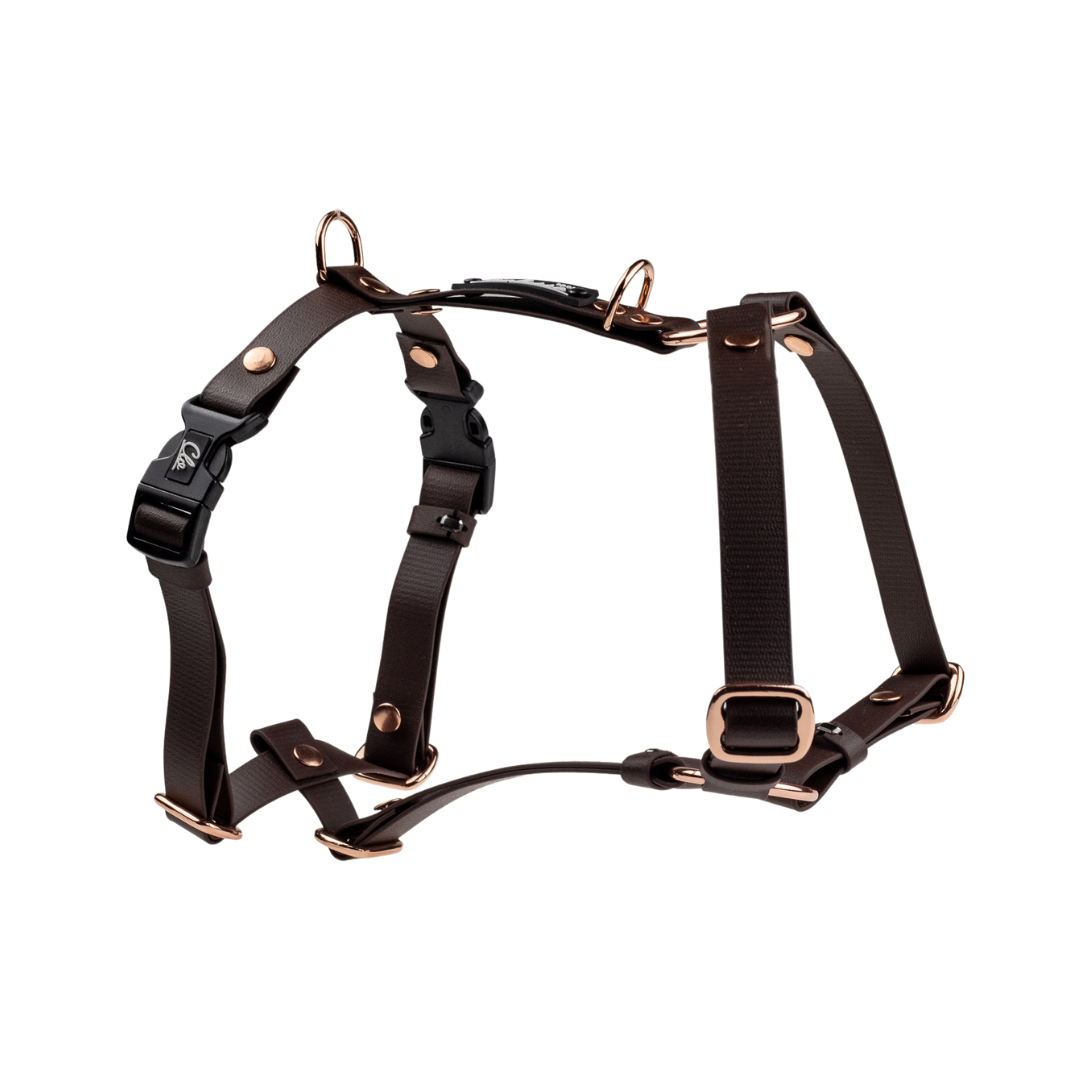 Szelki guard dla psa - Sport - Brown