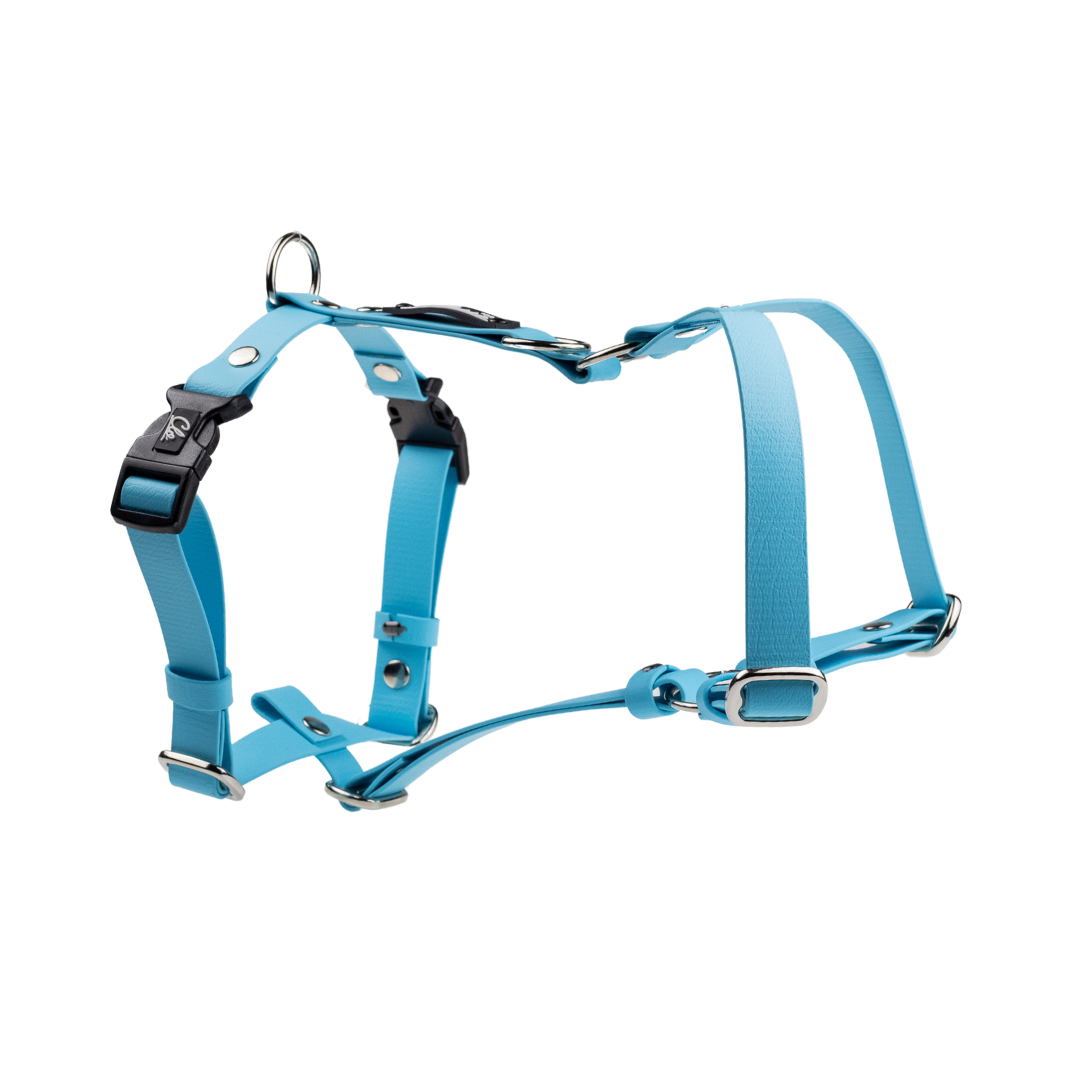 Szelki guard dla psa - Sport - Blue