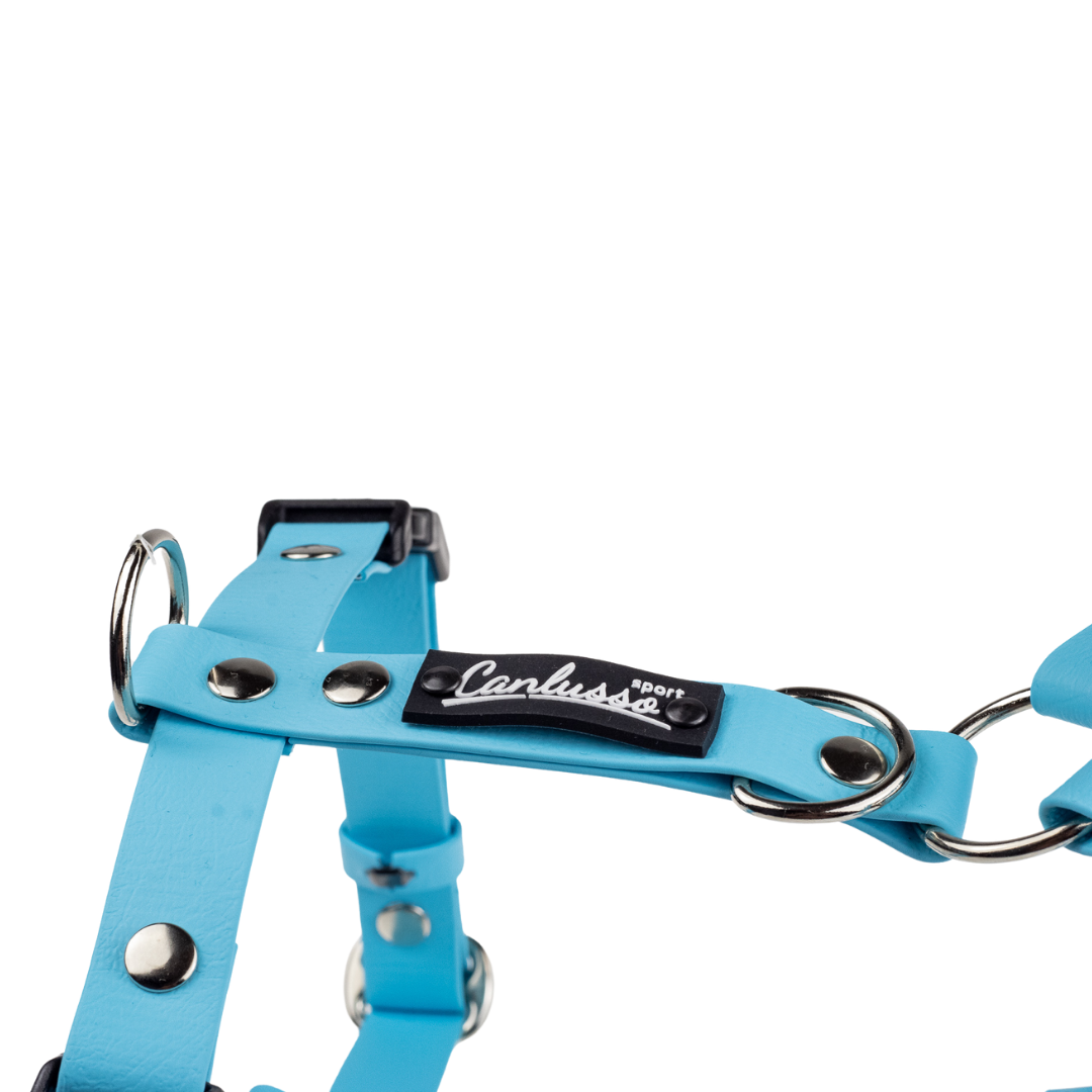 Szelki guard dla psa - Sport - Blue - obrazek 4