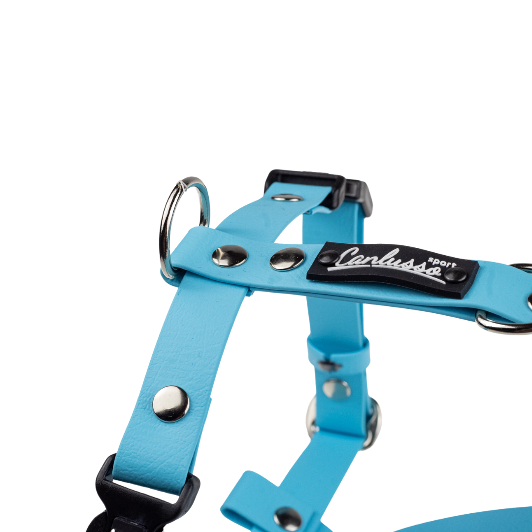 Szelki guard dla psa - Sport - Blue - obrazek 2