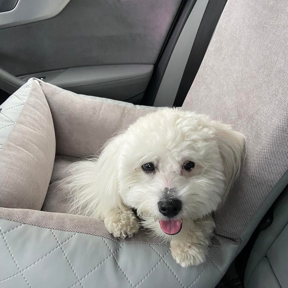 Galeria canlusso 2022 (55)