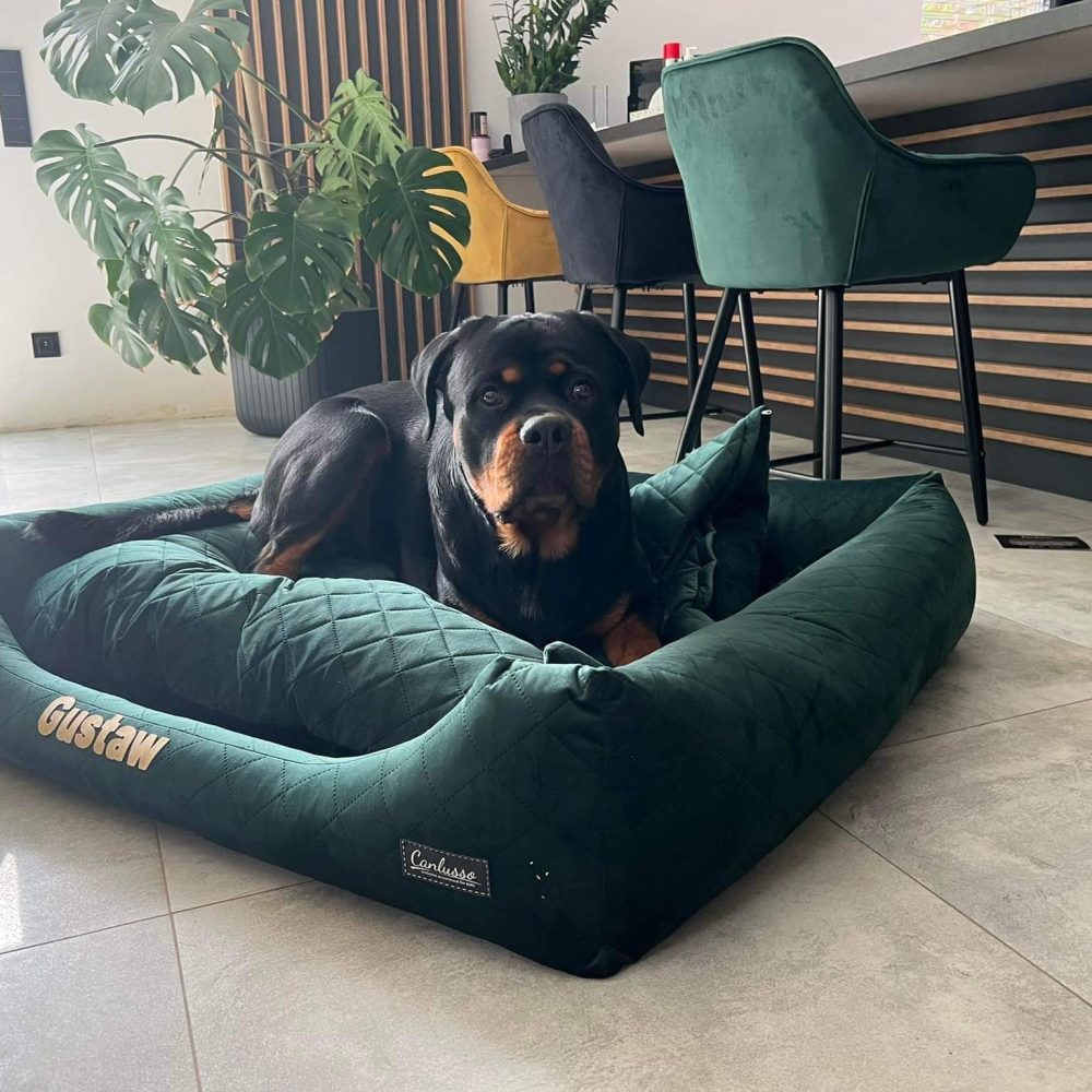 Galeria canlusso 2022 (56)